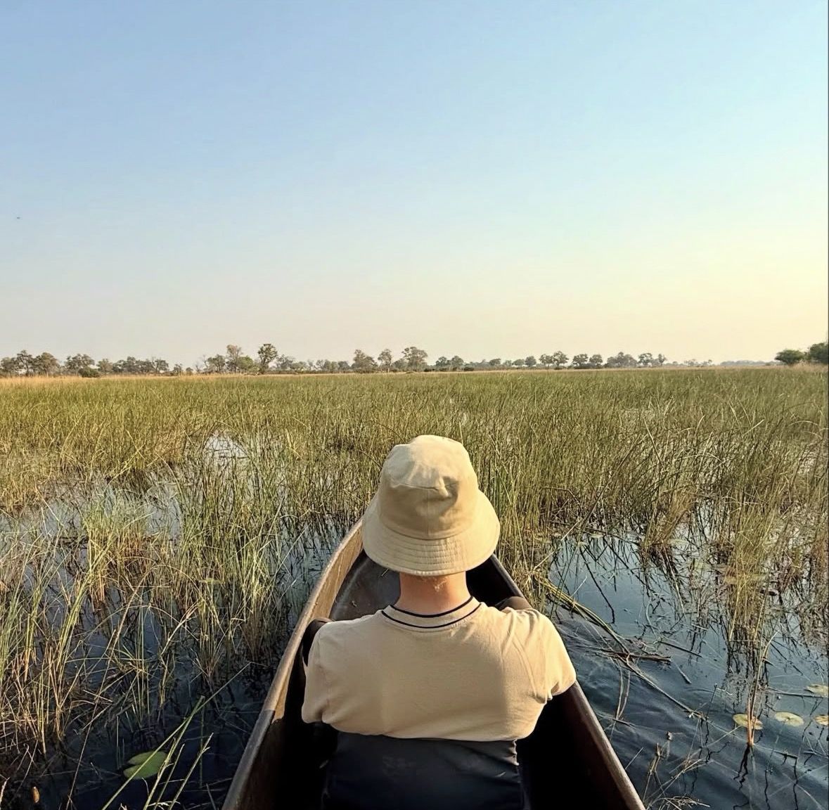Local mokoro poler guiding tourists through reed channels in the Okavango Delta at sunset