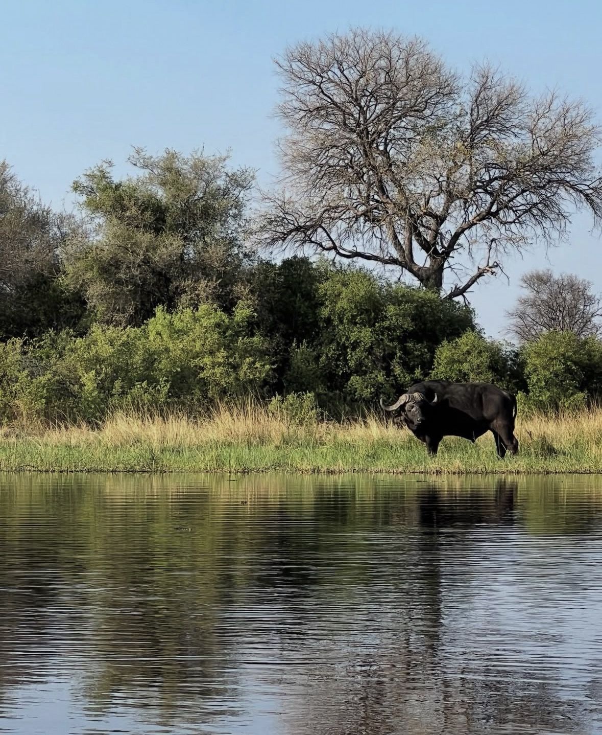 Okavango Delta Day Trip