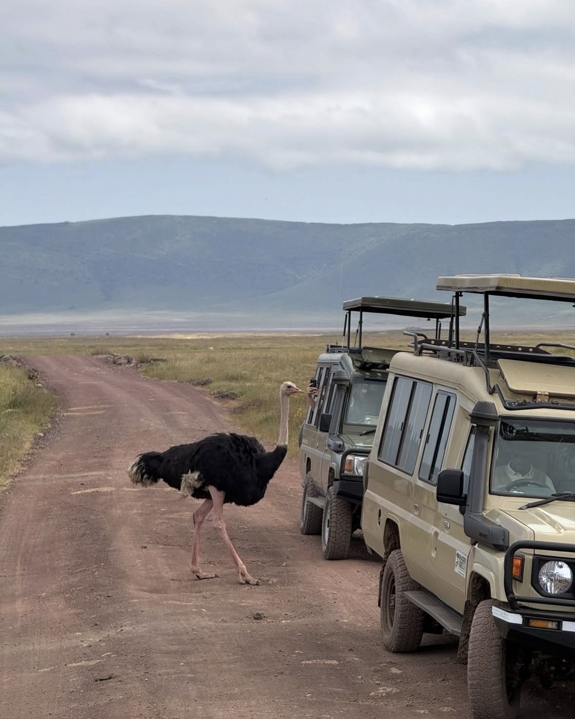 Luxury Okavango Safari - 3 Day
