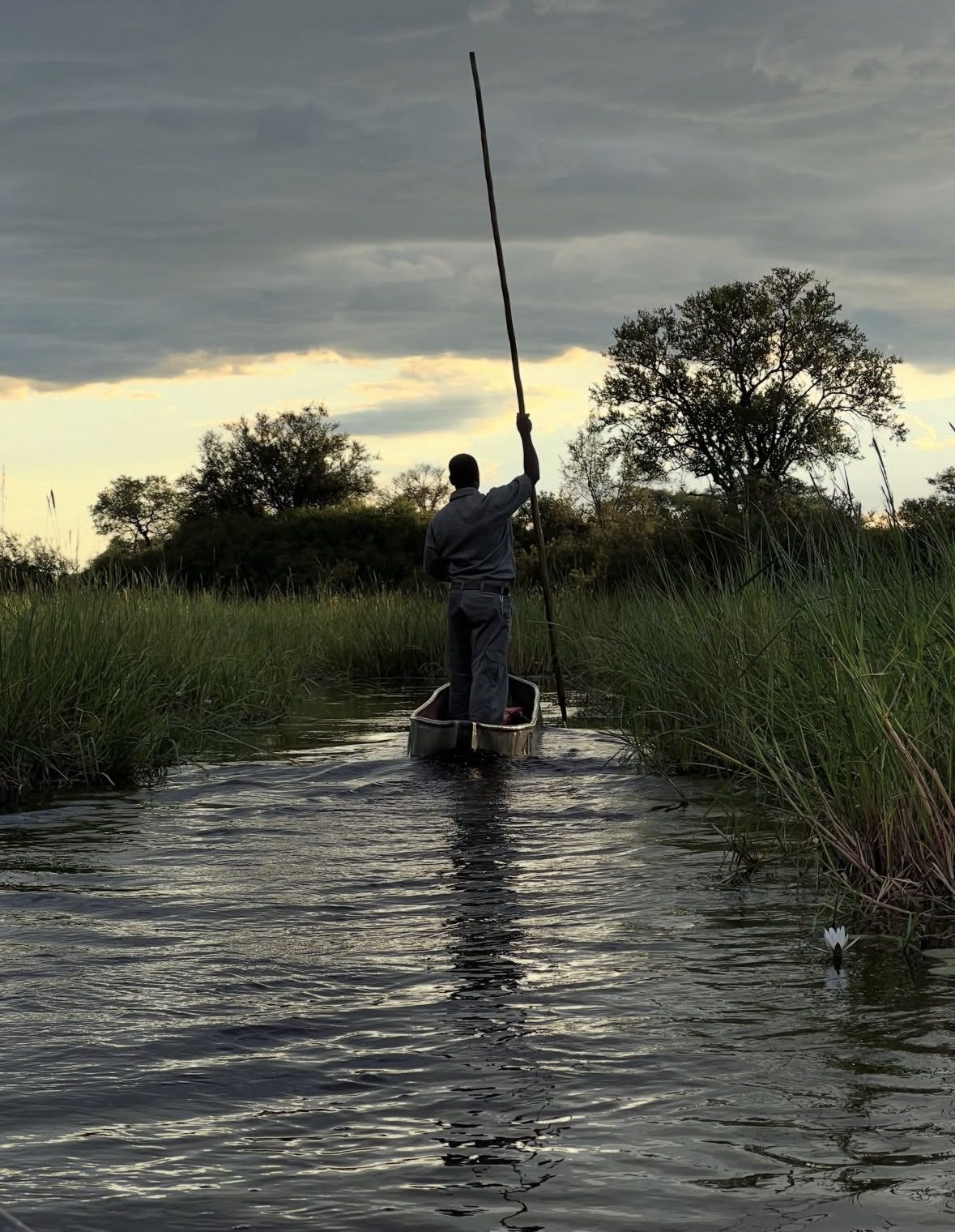 1 Day Okavango Delta Mokoro/Canoe Daytrip