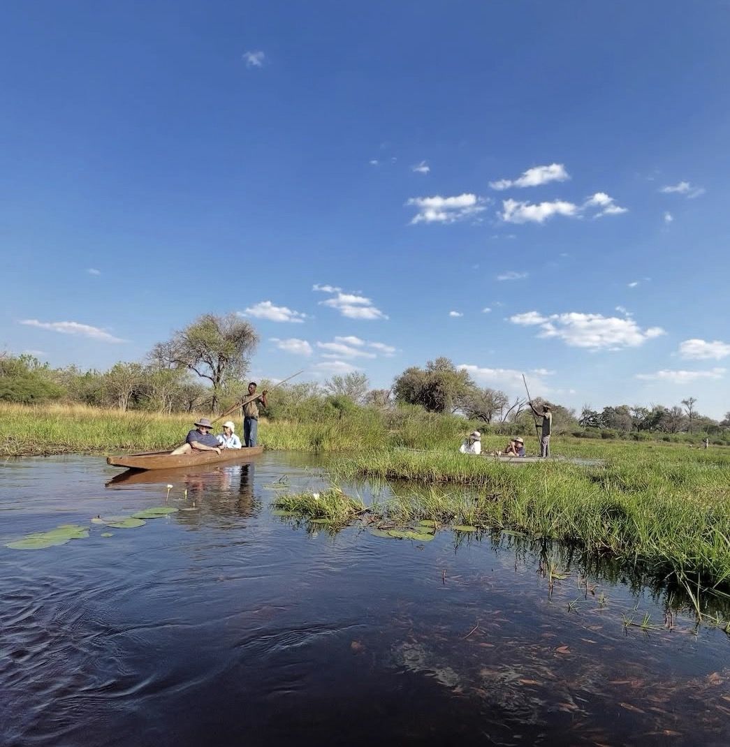 Okavango Delta Day Trip